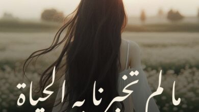 رواية ما لم تخبرنا به الحياة – جميع الفصول في مكان واحد | بقلم آيلا