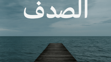 رواية توابع الصدف (كاملة) من الفصل الأول للأخير بقلم فدوى خالد