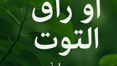 رواية أوراق التوت (كاملة) من الفصل الأول للأخير بقلم ريتاج محمد