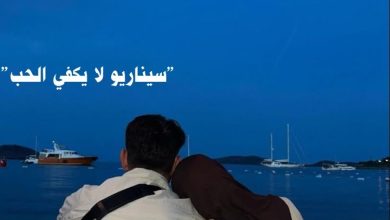 رواية سيناريو لا يكفي الحب (كاملة) جميع الفصول بقلم ملك عبدالله أحمد