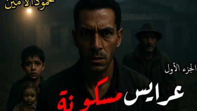 رواية عرايس مسكونة (كاملة) جميع الفصول بقلم محمود الأمين