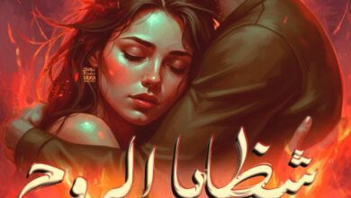 رواية شظايا الروح (كاملة) جميع الفصول بقلم فريدة أحمد