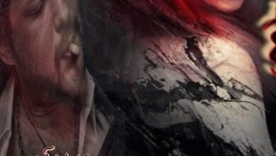 رواية سيد الكبرياء (كاملة) جميع فصول الرواية بقلم ميفو السلطان