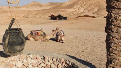 رواية ما وراء البئر (كاملة) جميع الفصول بقلم بسمة هلوان