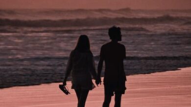 رواية يوسف وروز (كاملة) جميع الفصول بقلم شهد محمد