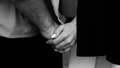 رواية ادم وندى - عشقت المتمردة (كاملة) جميع الفصول بقلم شيماء محمد