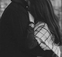 رواية قانون نوح (كاملة) جميع الفصول بقلم نون